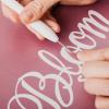 Cricut Weeding Tool Kit(Vinyl & Iron-On Tools)