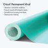 Cricut Bulk Premium Vinyl Black – Permanent(Mint)